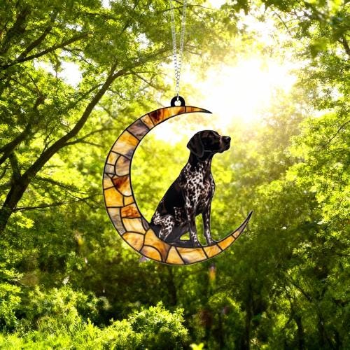 Custom German Shorthaired Pointer ACRYLIC Suncatcher, Dog Suncatcher, Window Hanging, Gift For Animal Lover, Dog Gift - image 4