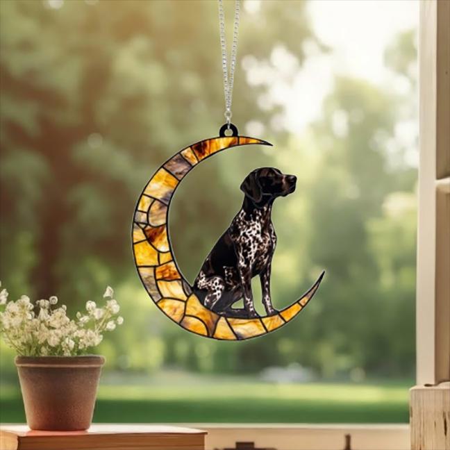 Custom German Shorthaired Pointer ACRYLIC Suncatcher, Dog Suncatcher, Window Hanging, Gift For Animal Lover, Dog Gift