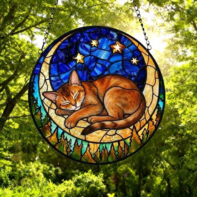 Custom Abyssinian  cat Sleeping Cat Suncatcher, Stained Glass Window Hanging , Moon Starry Night Sun Catcher Gift for Cat Moms