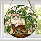 Custom Ragdoll  Cat Stained Glass Window Hanging for Plant Lovers, Cozy Sunlit Home and Garden Decor, gift for cat lover - image 2