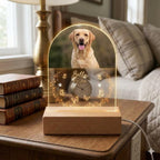 Personalized Pet Photo Memorial Night Light: Dog Cat Loss Sympathy Gift, Lover Gift - image 5