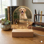 Personalized Pet Photo Memorial Night Light: Dog Cat Loss Sympathy Gift, Lover Gift - image 4