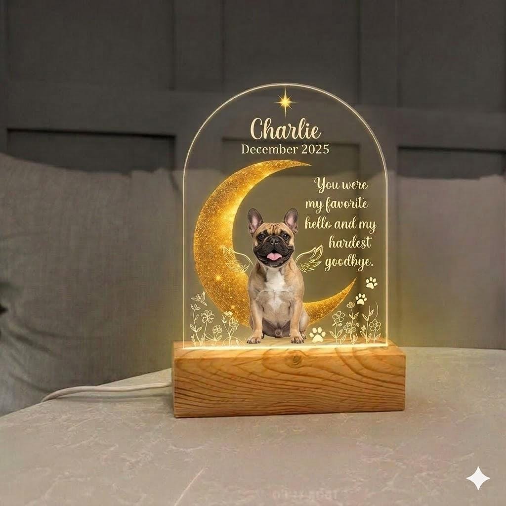 Personalized Pet Memorial LED Night Light , Custom Dog or Cat Photo Lamp, In Loving Memory Angel Keepsake,Gift for pet lover - image 2