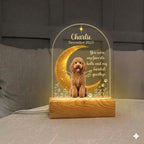 Personalized Pet Memorial LED Night Light , Custom Dog or Cat Photo Lamp, In Loving Memory Angel Keepsake,Gift for pet lover - image 4