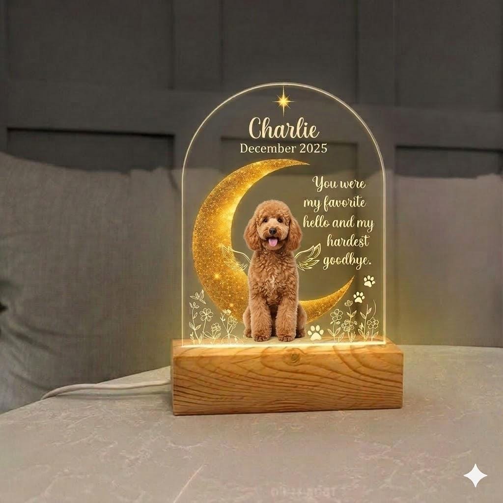 Personalized Pet Memorial LED Night Light , Custom Dog or Cat Photo Lamp, In Loving Memory Angel Keepsake,Gift for pet lover - image 4