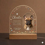 Personalized Pet Memorial LED Night Light — Custom Dog or Cat Photo Sympathy Gift, pet remembrance - image 5