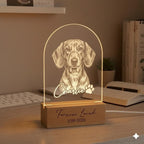 Personalized Dachshund Dog LED Night Light — Custom Dog  Sympathy Gift, Dog Memorial Gift , Gift For Dog Lover, Pet Portrait - image 3