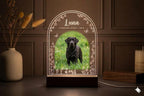 Personalized Pet Memorial LED Night Light — Custom Dog or Cat Photo Sympathy Gift,Gift for pet lover