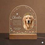 Personalized Pet Memorial LED Night Light — Custom Dog or Cat Photo Sympathy Gift, pet remembrance
