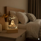 Personalized Pet Memorial LED Night Light — Custom Dog or Cat Photo Sympathy Gift, Pet Memorial Gift, lover Pet Gift - image 5