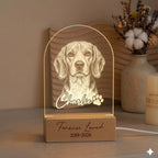 Personalized Beagle Dog LED Night Light — Custom Dog  Sympathy Gift, Dog Memorial Gift , Gift For Dog Lover, dog keepsake