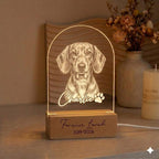 Personalized Dachshund Dog LED Night Light — Custom Dog  Sympathy Gift, Dog Memorial Gift , Gift For Dog Lover, Pet Portrait