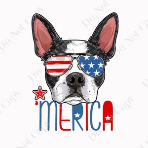 Boston Terrier Merica 4th of July PNG