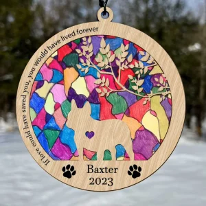 Anniversary Gift for Pet Lovers A Special Keepsake for Your Furry Friend