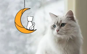 Personalized Sleeping Cat on Moon Suncatcher A Unique-5