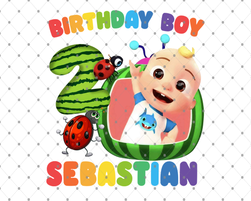 Cocomelon Birthday Party Decorations for Sebastian