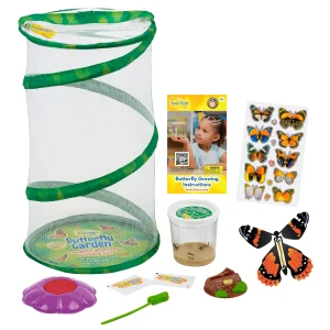 Butterfly Mini Garden Gift Set with Live Cup of Caterpillars