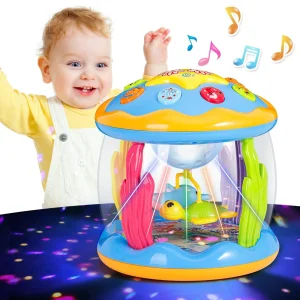 Kiddiworld Musical Toys